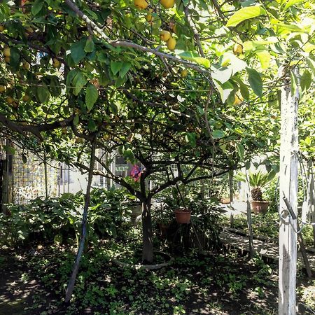 B&B Rectina Pompeja Zewnętrze zdjęcie
