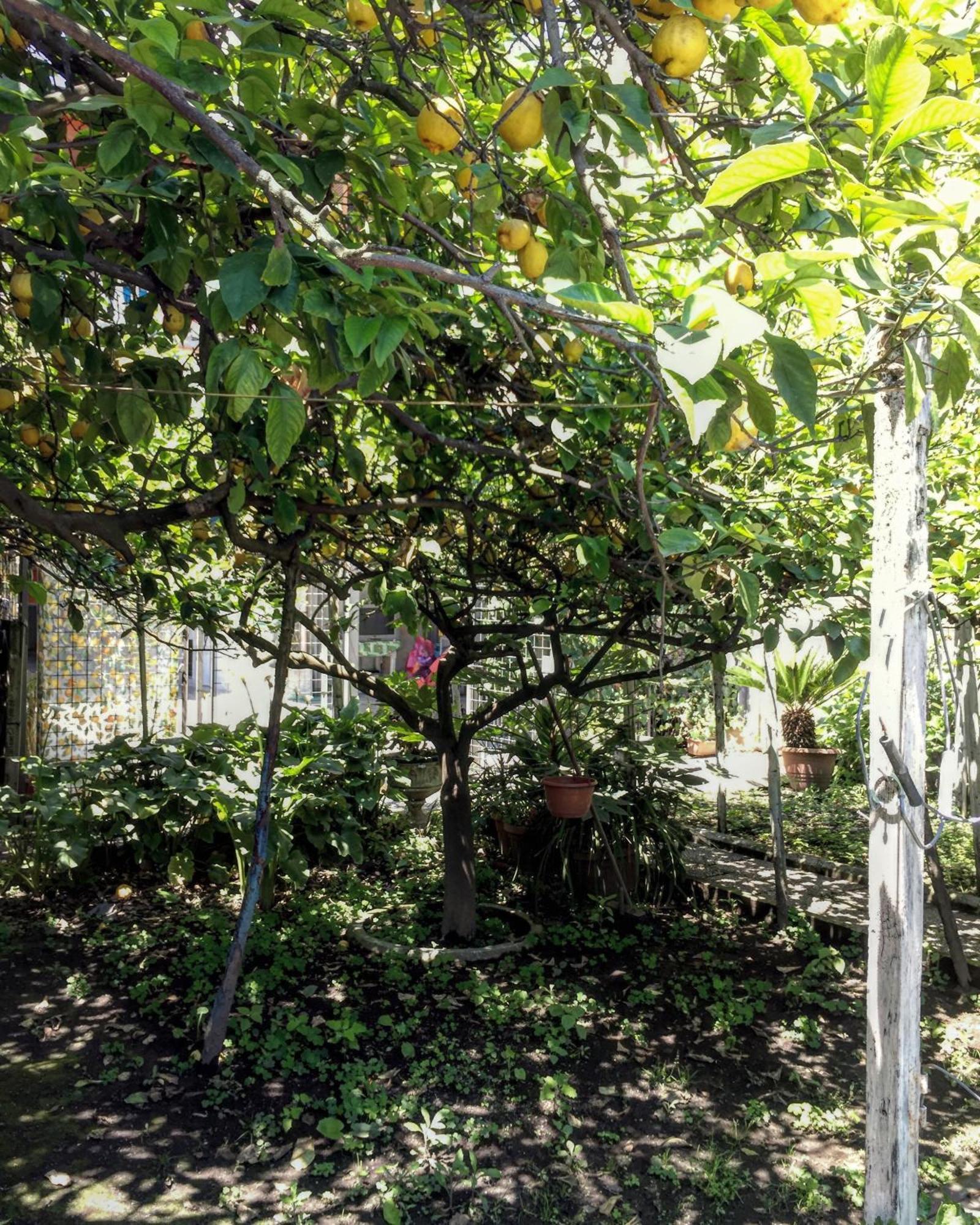 B&B Rectina Pompeja Zewnętrze zdjęcie
